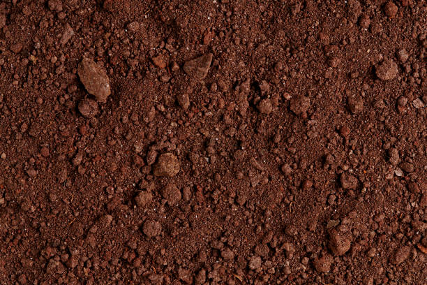 Photo of Ground Texture. Top View of a Dark Ground Surface.