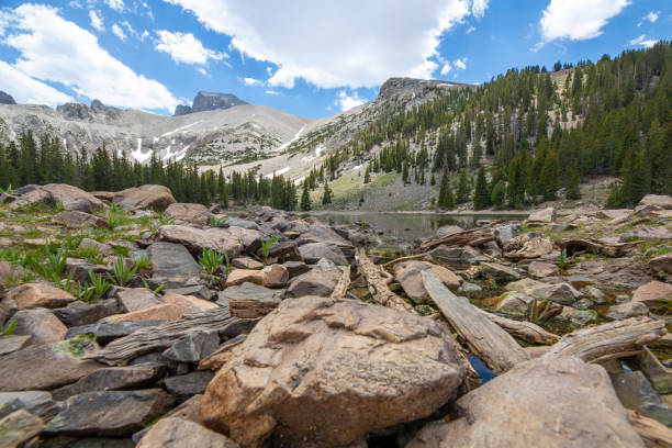 Ground-Level View Toward Nevada Alpine Lake Low-level, wide-angle view from the edge of Stella Lake toward the iconic Wheeler Peak in Nevada's Great Basin National Park. great basin stock pictures, royalty-free photos & images