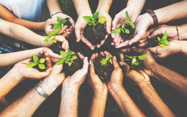 Group of environmental conservation people hands planting in aerial view Group of environmental conservation people hands planting in aerial view ecosystem stock pictures, royalty-free photos & images