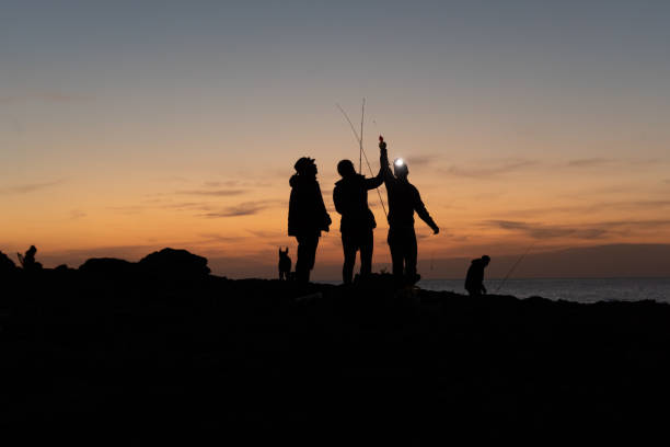Group of fishermen preparing the rods at sunset in Majorca coast stock photo