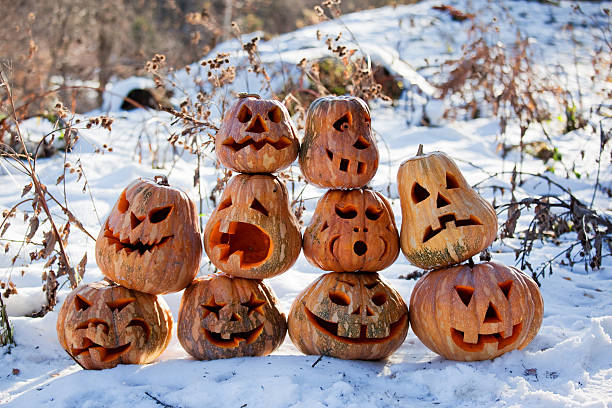 Group of Halloween pumpkin stock photo