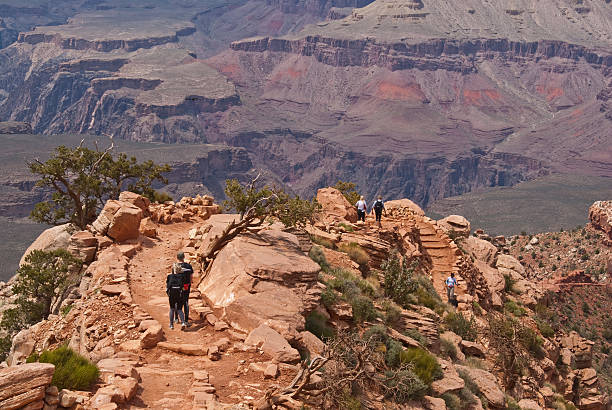 Hikers Descending into the Canyon on South Kaibab Trail Grand Canyon National Park, Arizona, USA - May 16, 2011: A group of hikers is descending into the Grand Canyon from Cedar Ridge on the South Kaibab Trail. jeff goulden grand canyon national park stock pictures, royalty-free photos & images