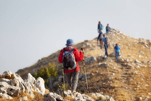A group of hikers reaches the top of a mountain stock photo