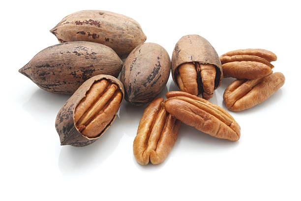 a group of pecan nuts on a white background - pecannoot stockfoto's en -beelden