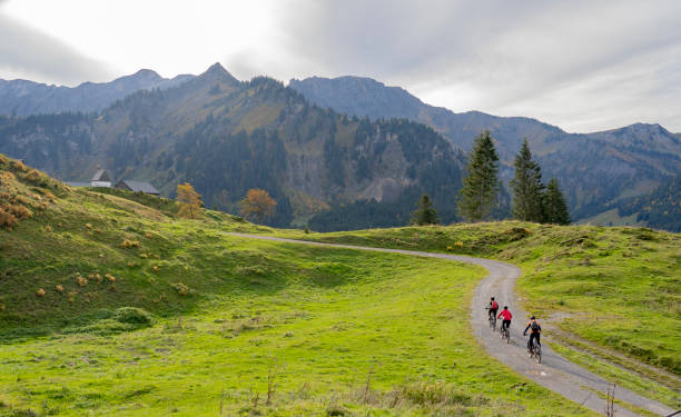 bregenz wald elektrikli dağ bisikleti üzerinde yaşlılar grubu - wald stok fotoğraflar ve resimler
