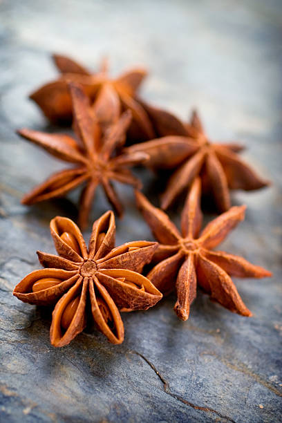 A group of star anise on a plain background stock photo