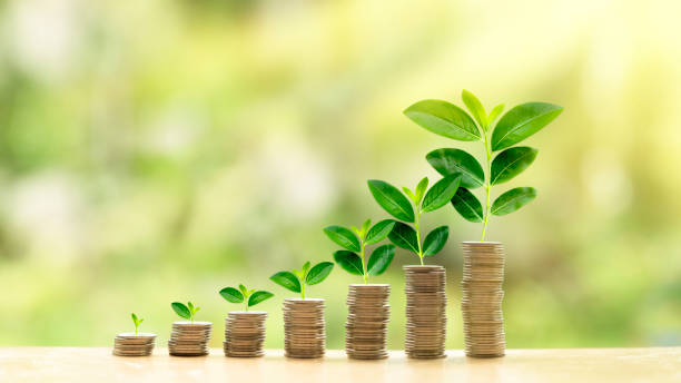 Growing investment concept Growing investment concept wealth stock pictures, royalty-free photos & images