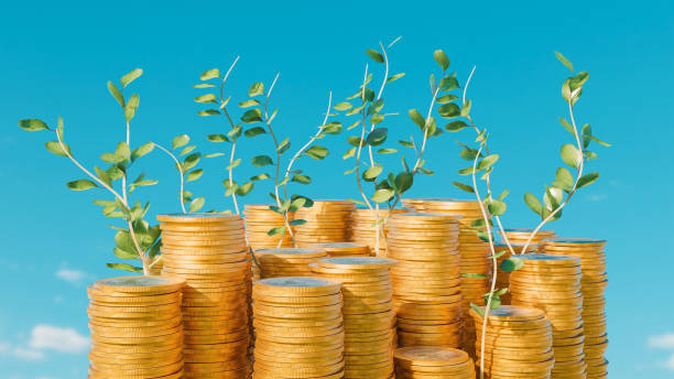 Growth and investment concept with coins and growing plants stock photo