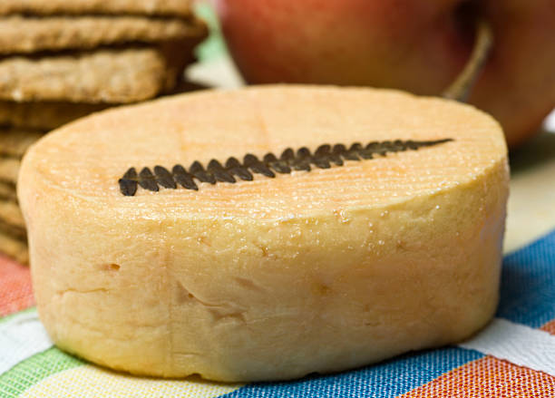 Grès des Vosges Cheese and crackers  muenster cheese stock pictures, royalty-free photos & images