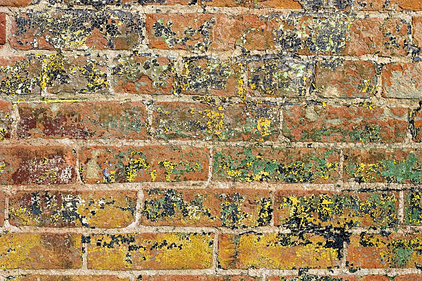 Grungy Painted Brick And Mortar Background stock photo