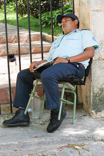 guard-sleeping-picture-id483134229