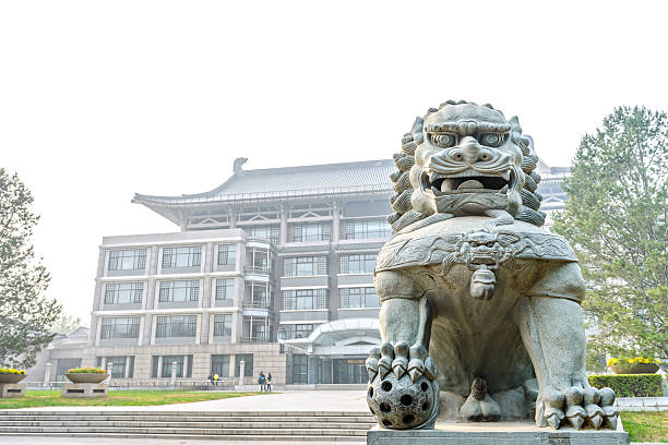 Guardian lion Guardian lion in campus. Located in Peking University, Beijing, China. lion feline stock pictures, royalty-free photos & images