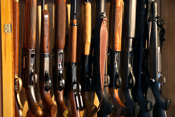 Gun Case Ten rifles and shotguns lined up in a hunter's gun case. weapon stock pictures, royalty-free photos & images