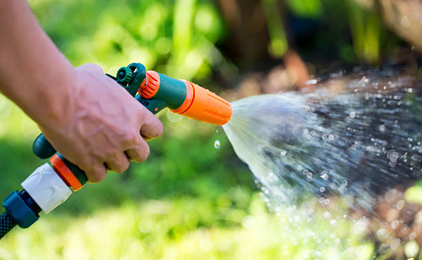 Gun nozzle hose water sprayer watering garden stock photo