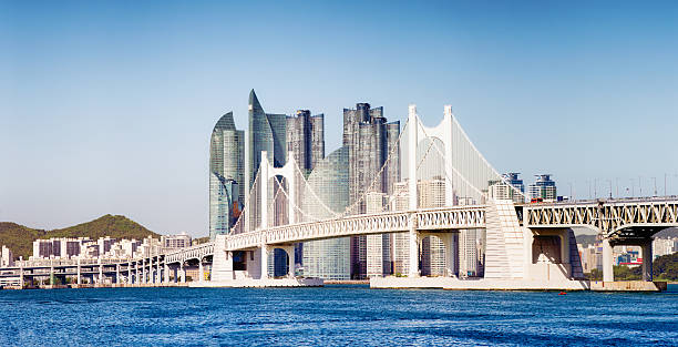 Gwangandaegyo Bridge in Busan South Korea with modern buildings panorama Panoramic view of the Gwangandaegyo Bridge in Busan, South Korea, with the ultra modern buildings of the Haeundae area in the background. Lit by late afternoon low sun. korean culture photos stock pictures, royalty-free photos & images