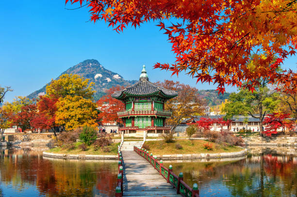 Gyeongbokgung Palace in autumn,Seoul in South Korea. stock photo