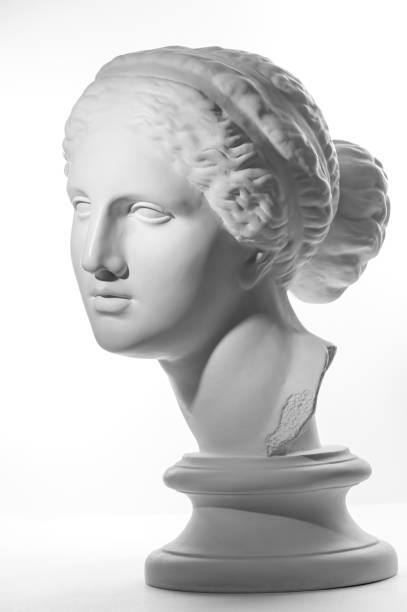 copia in gesso dell'antica statua venere testa isolata su sfondo bianco. scultura in gesso faccia donna. - busto foto e immagini stock