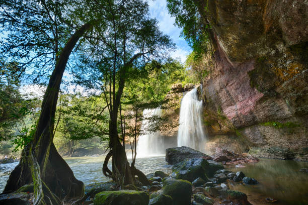 Haewsuwat waterfall at Khao Yai National Park, Thailand stock photo