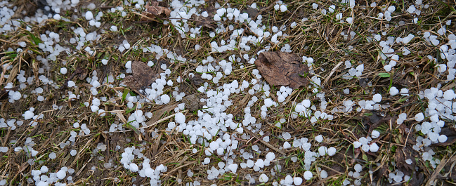 Hail on the grass after a catastrophic hailstorm