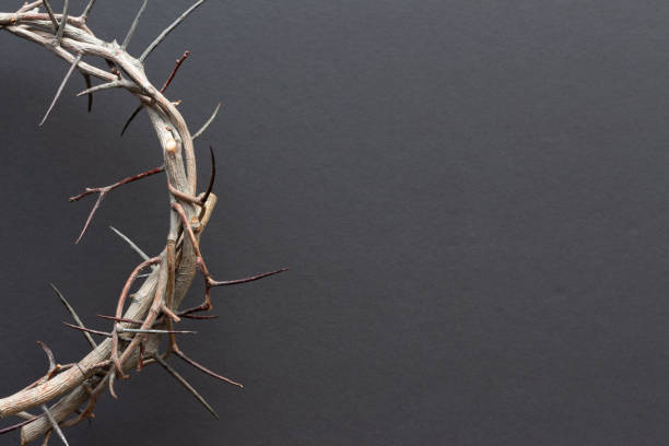 Half crown of thorns on black background  good friday stock pictures, royalty-free photos & images