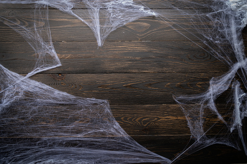 Halloween concept. Halloween holiday background with spider web on black wooden backdrop. Copy space