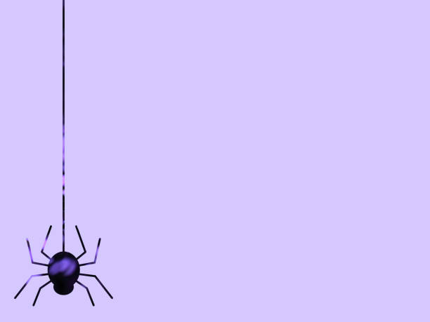 紫色の背景に糸でぶら下がっているクモのシルエットを描いたハロウィーンのイラスト - 蜘蛛の糸 ストックフォトと画像