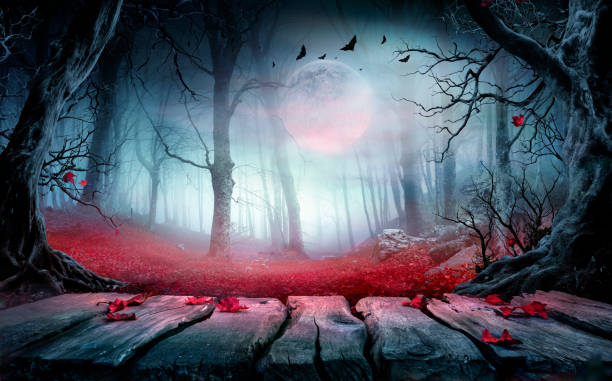 halloween - holztisch im gruseligen wald bei nacht mit roten blättern in der herbstlandschaft mit mondschein - romolotavani stock-fotos und bilder