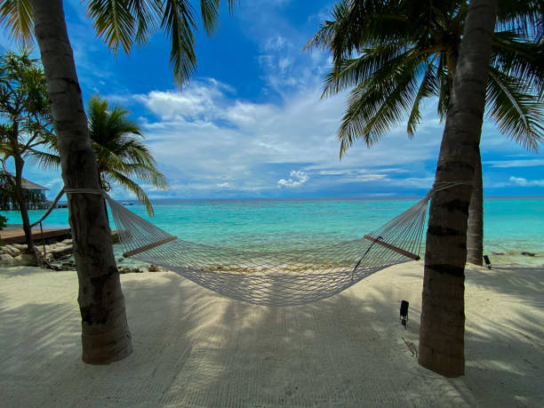 Hammock On Beach Backgrounds Stock Photos, Pictures & Royalty-Free ...