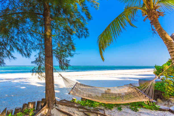 Hammock near beach in Zanzibar, Tanzania. stock photo