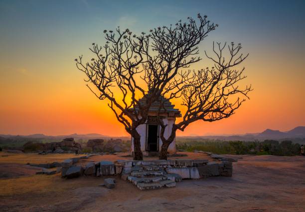 Hampi Tree at Sunset Some of the world's most beautiful sunsets are seen in Hampi, India. hampi stock pictures, royalty-free photos & images