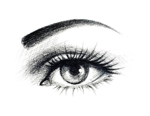 hand-drawn-female-eye