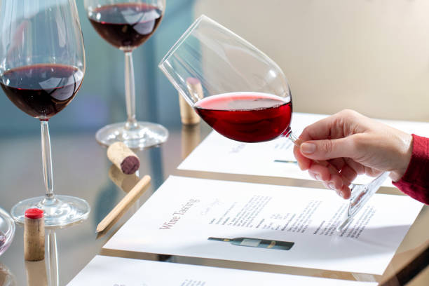Hand evaluating red wine density at table. stock photo
