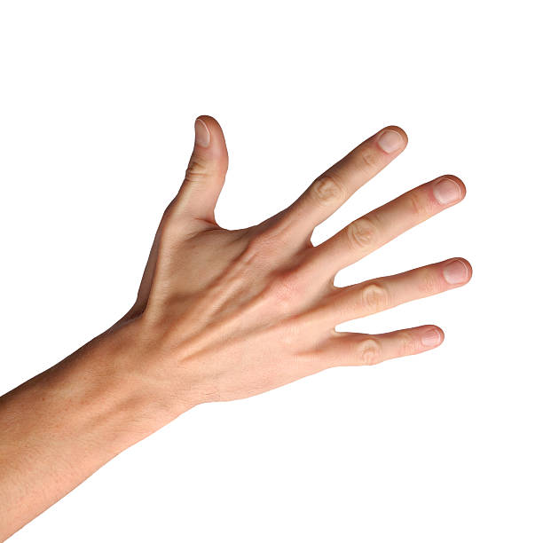 Hand gestures on white background stock photo