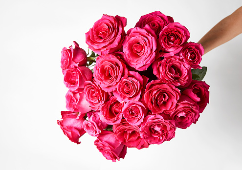 Hand holding a bouquet of pink roses on white background with copy space. Giving a beautiful red rose bouquet flower. Valentines day flowers