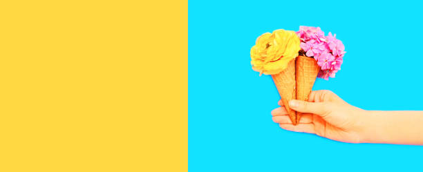 Hand holding cone ice cream with flowers on blue background, blank copy space for advertising text stock photo