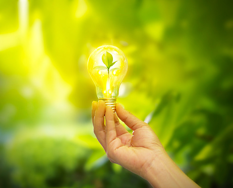 hand holding a light bulb with energy and fresh green leaves inside on nature background, soft focus