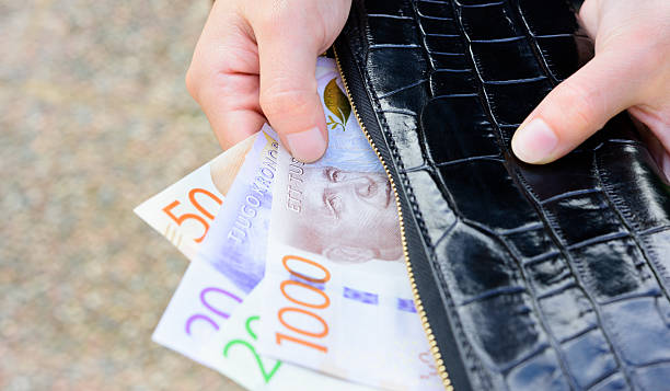 hand holding new swedish bank notes wallet. note: 2015 model. - svenska pengar bildbanksfoton och bilder