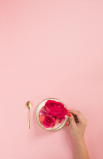 Female hand holding tea cup filled with fresh roses. Pink checks pattern text space background.