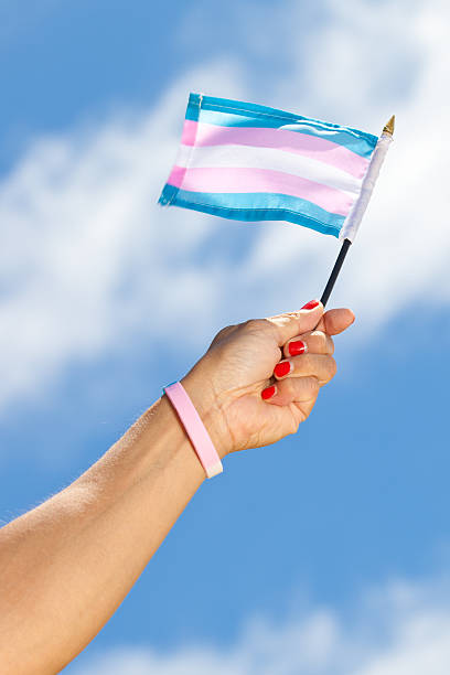 Hand holding Transgender Pride flag stock photo