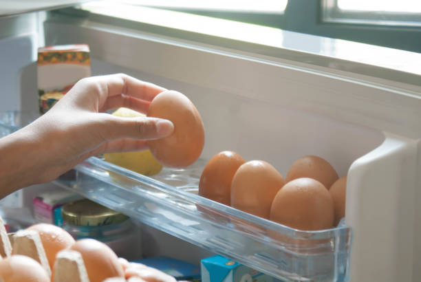 Hand Pick chicken egg from egg carton box into refrigerator, eggs on shelf of cold storage stock photo