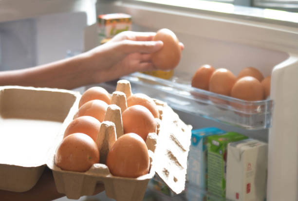 Hand Pick chicken egg from egg carton box into refrigerator, eggs on shelf of cold storage stock photo