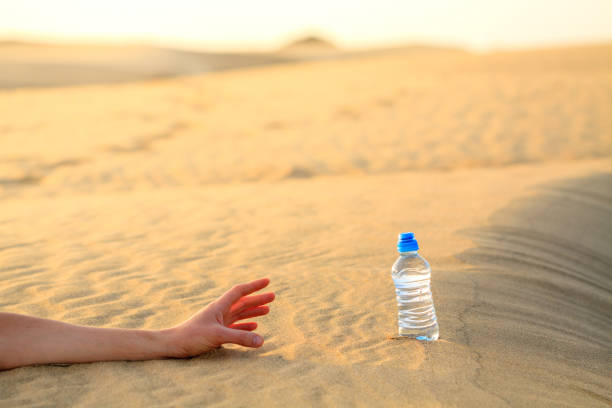 Hand try to catch the bottle of water on sand desert in hot temperature. Concept of to die of thirst. stock photo