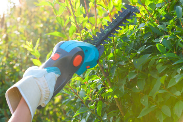 Hand with garden battery shears stock photo
