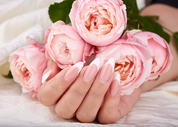 Hand with long artificial french manicured nails Hand with long artificial french manicured nails holding pink rose flowers artificial nail stock pictures, royalty-free photos & images