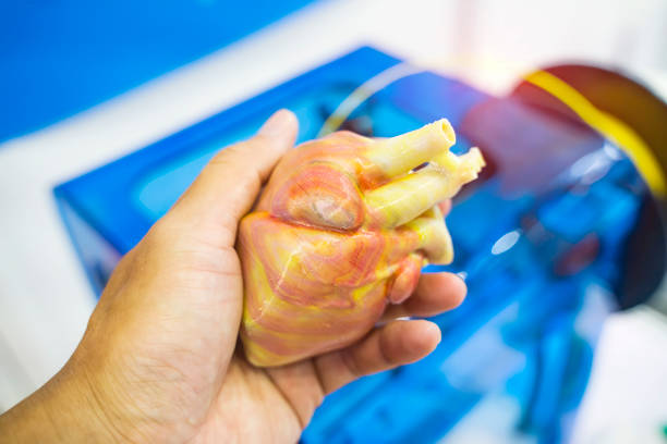 main avec objet en forme de précision médicale un cœur humain imprimé sur imprimante 3d - ouvrier coeur photos et images de collection