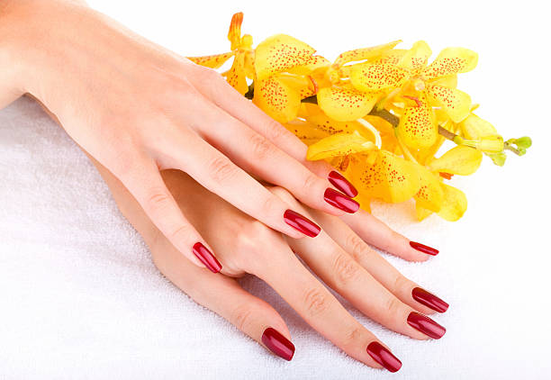 Hand with yellow orchid stock photo