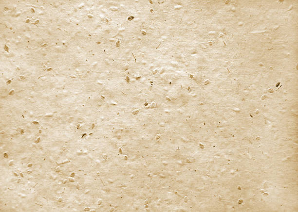 Handmade Paper Image of a sheet of handmade paper in neutral tones with a dimensional qualty. seed stock pictures, royalty-free photos & images