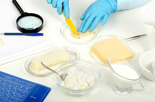 Hands cutting a cheese in phytocontrol laboratory stock photo