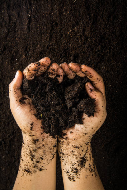 Hands dirty with clay , soil background stock photo