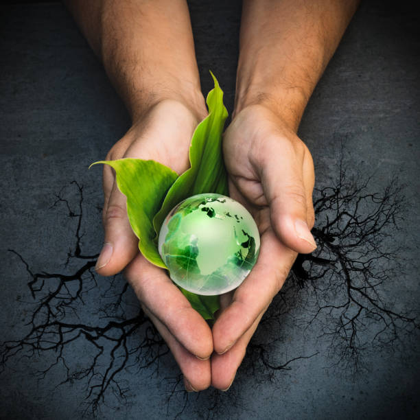 Hands holding a green globe of planet Earth on green leaves stock photo